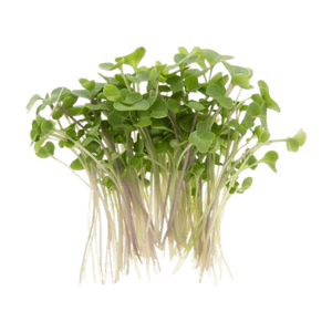 Kale