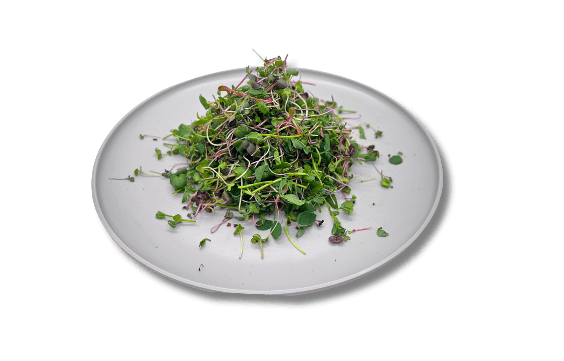 Microgreens Delivery NYC | Harvest-Fresh from Fuel Foods