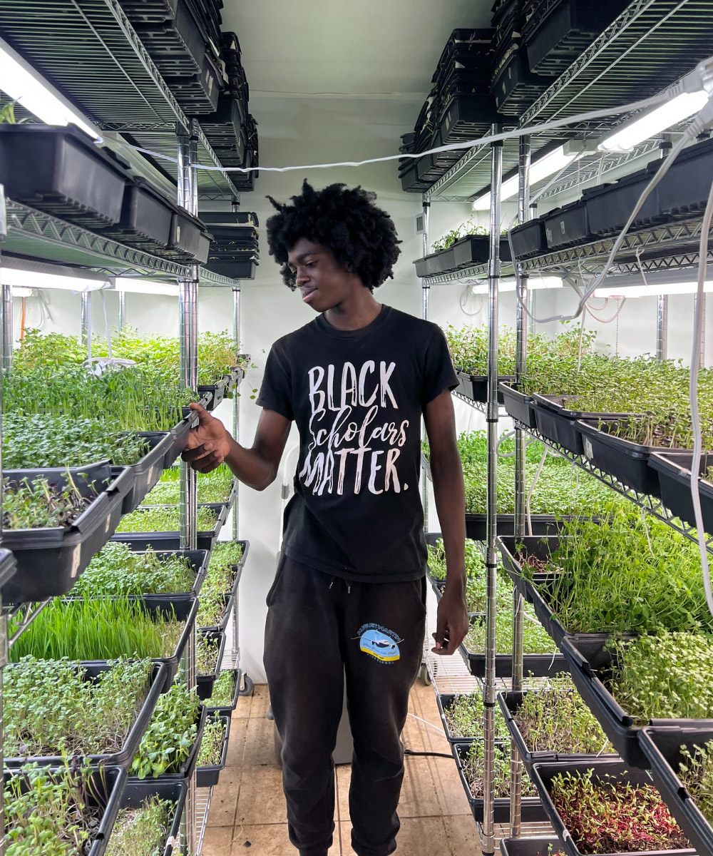 Community Collaboration